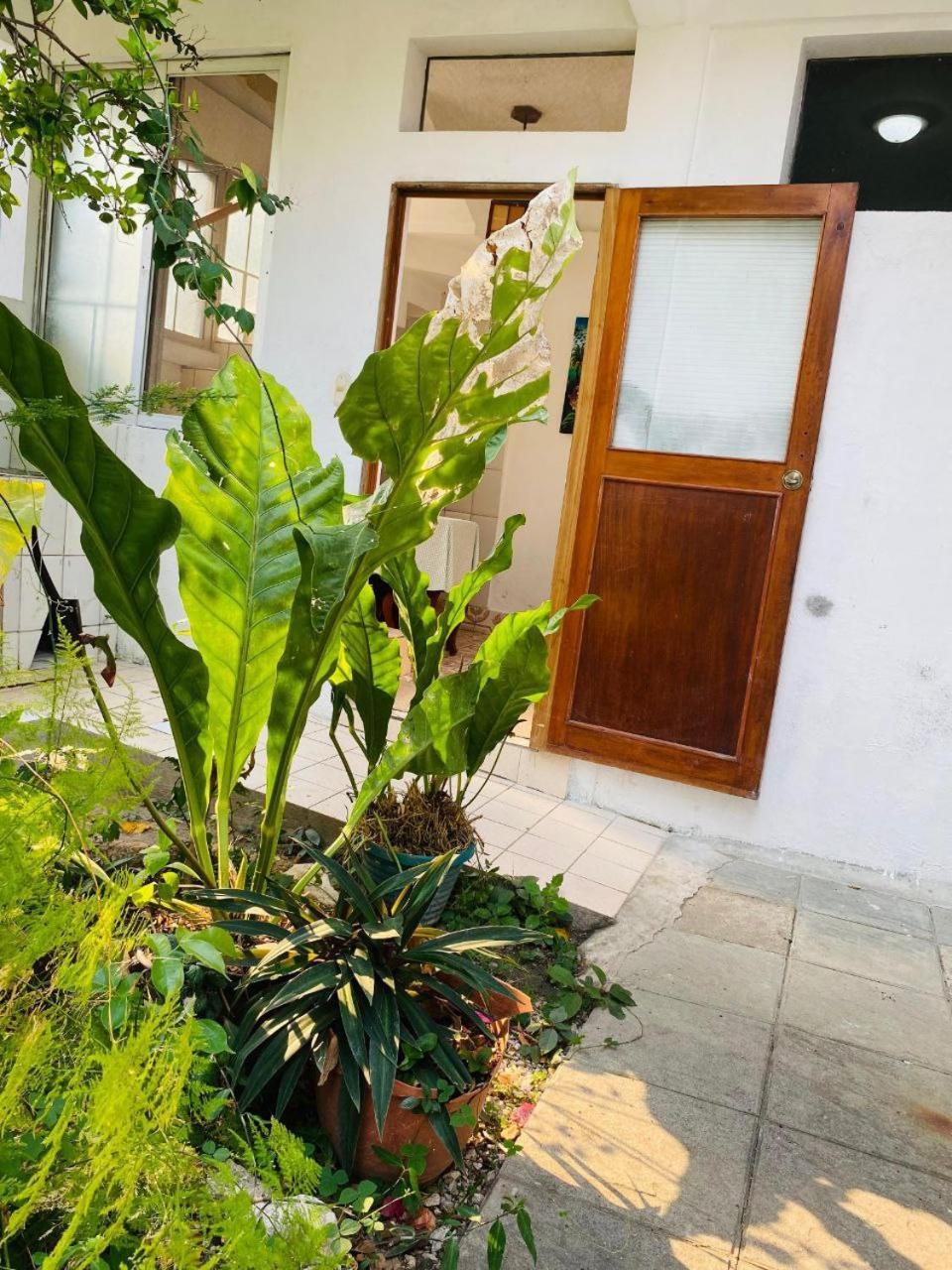 Casa Mima Hotel Flores Ngoại thất bức ảnh